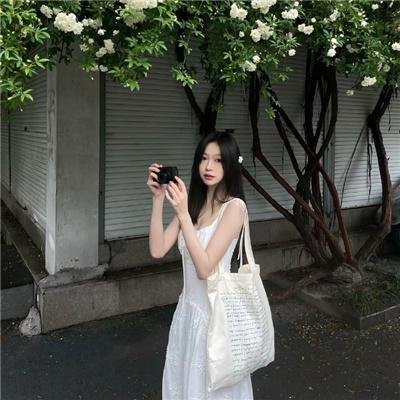 龙虎双侠